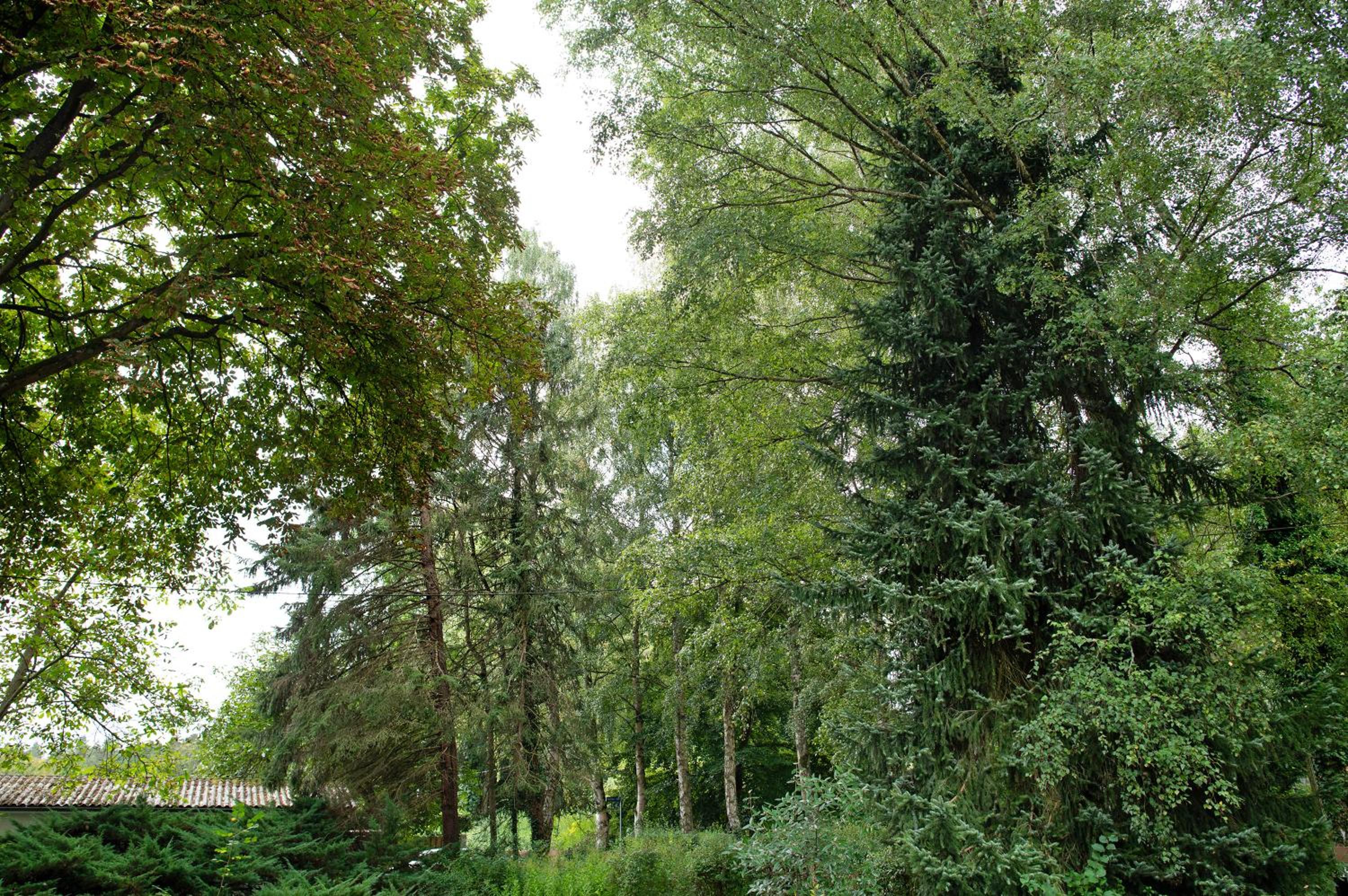 Kinderfreundliche Wohnung am See