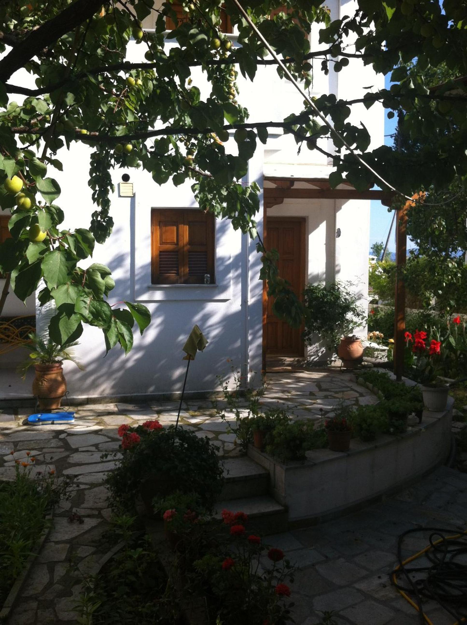 Photo 22
