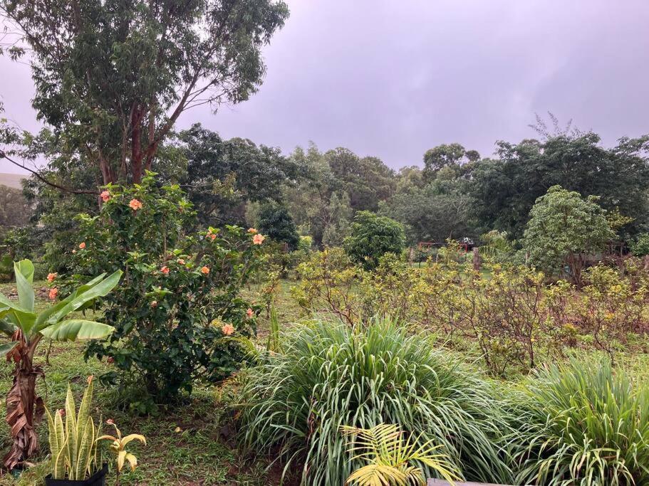 other