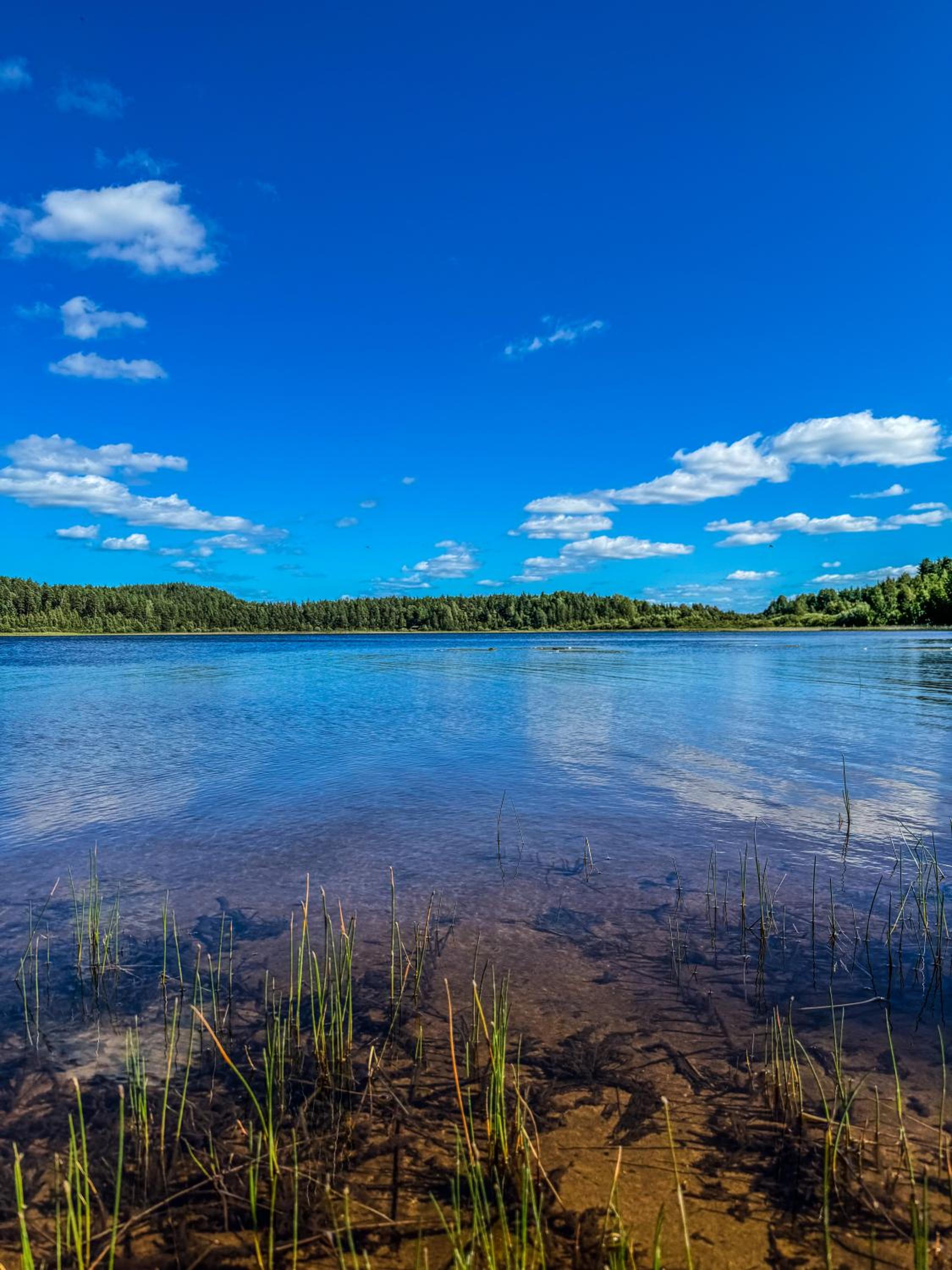 other