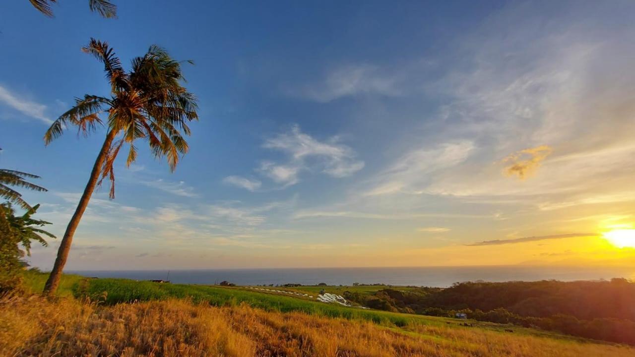 Purangjompa Homestay