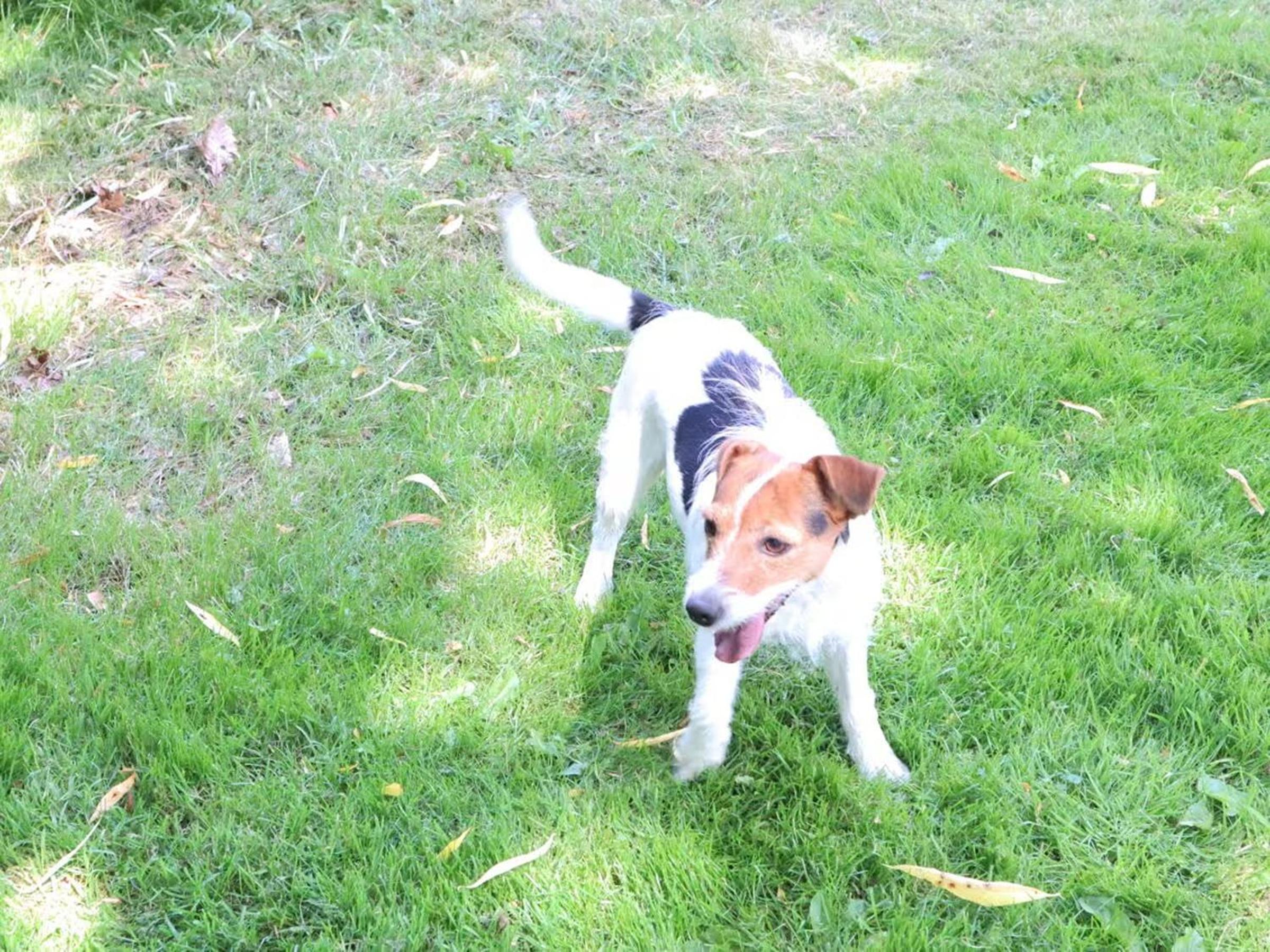 Ferienhaus Heinrichs