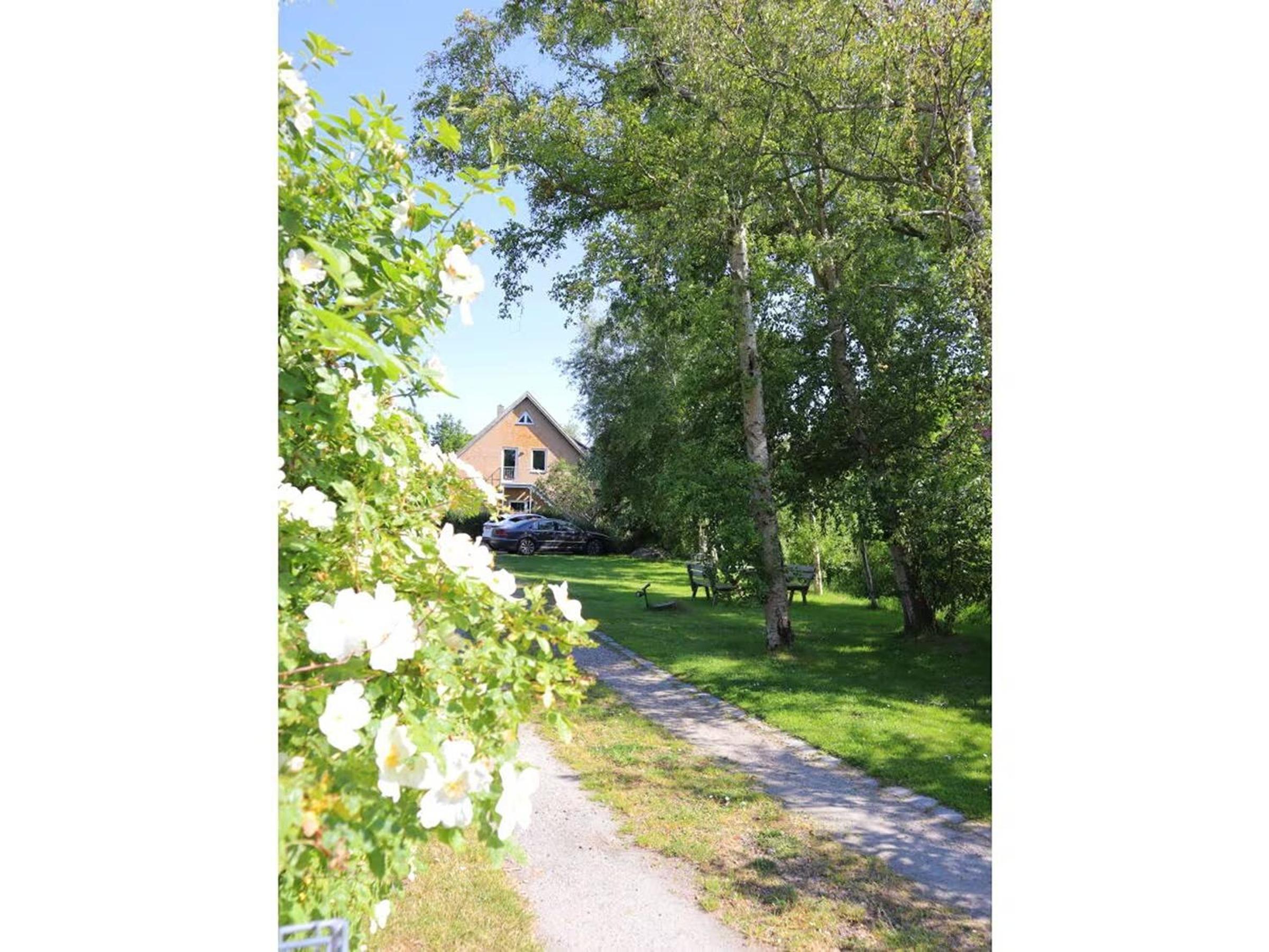 Watt´n Dog - Urlaub direkt am Nordseedeich view 5