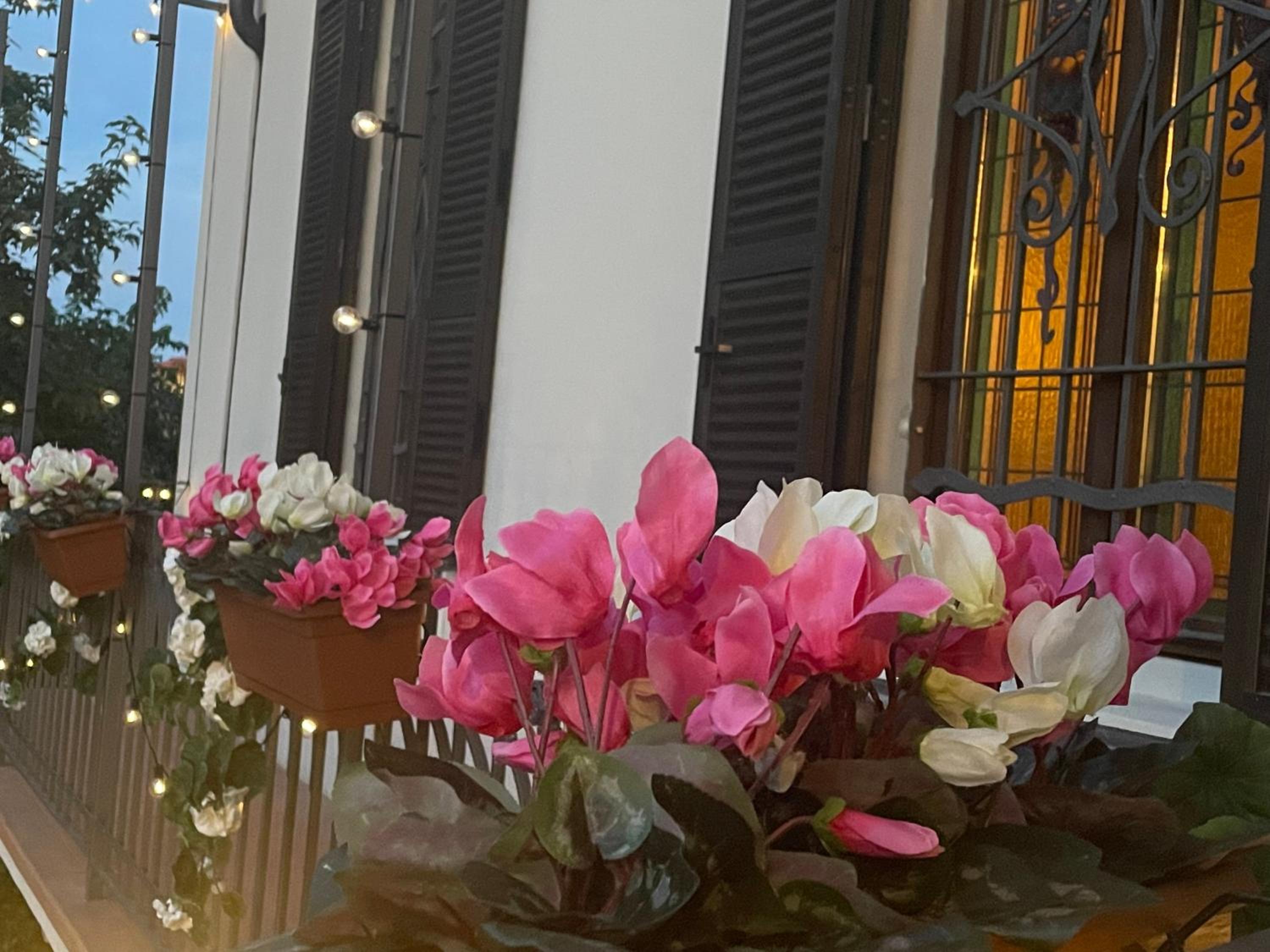 VILLA SIMONA Malpensa
