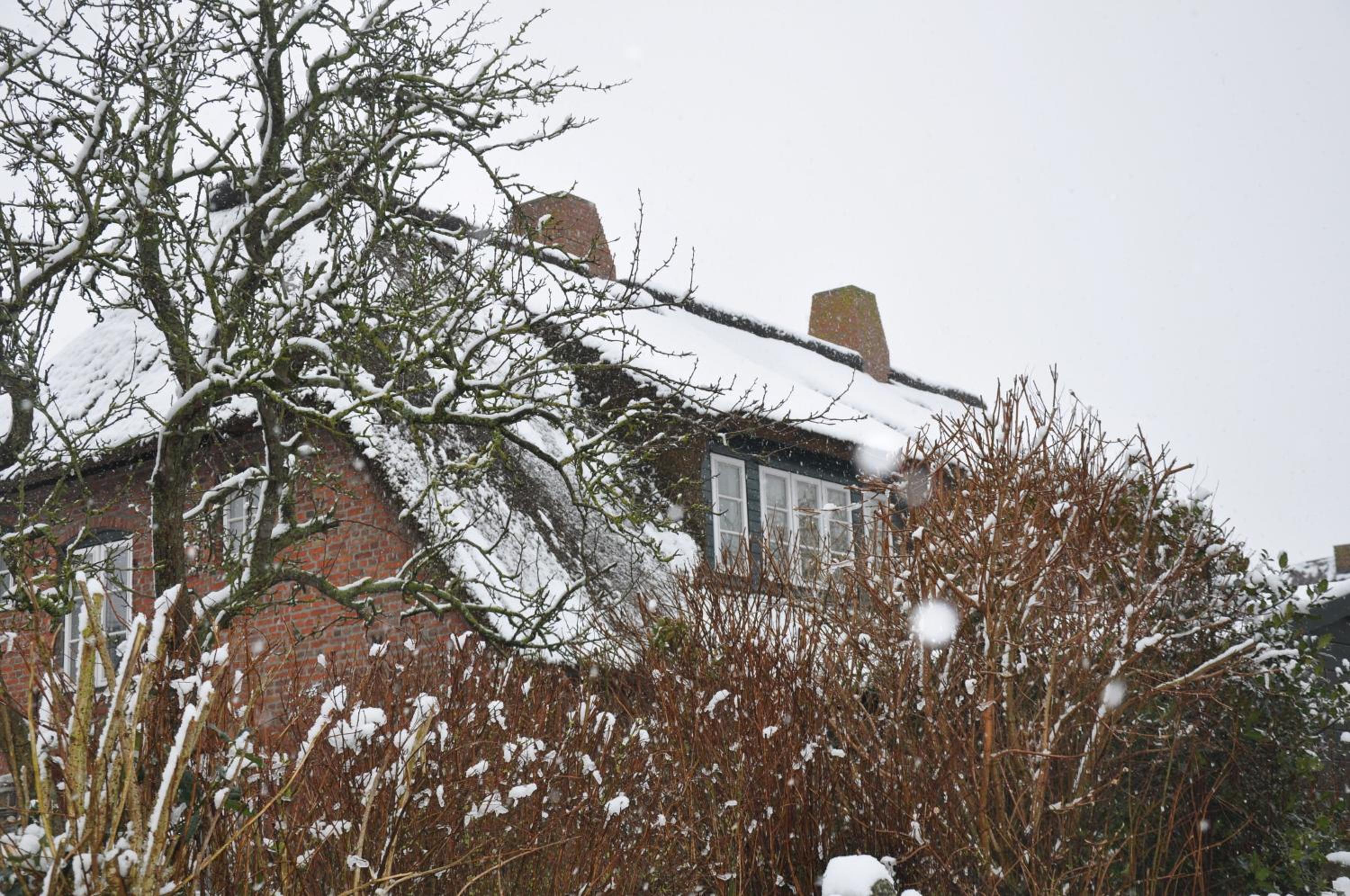 Altes Standesamt Familienwohnung