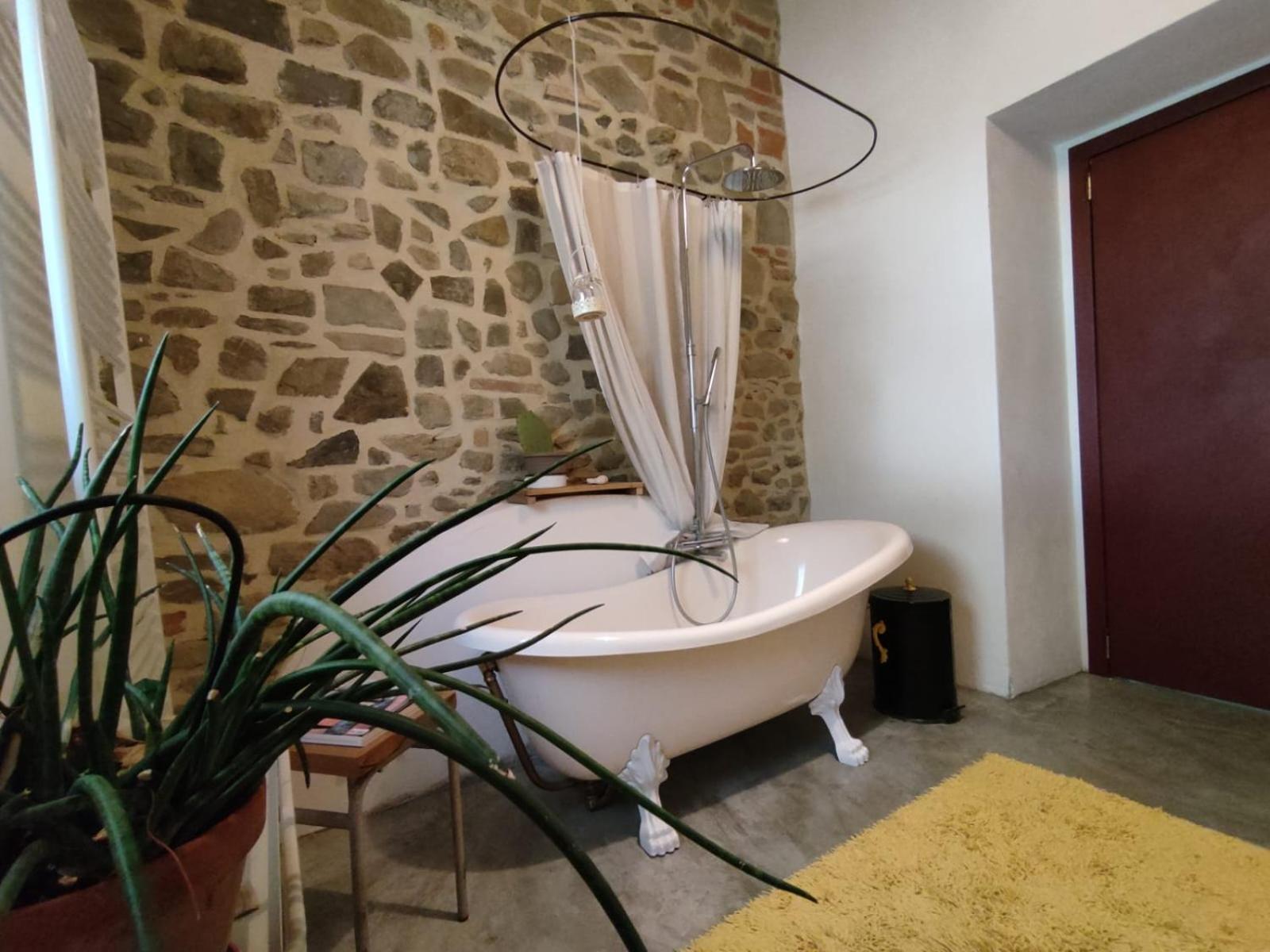 Casa Matta