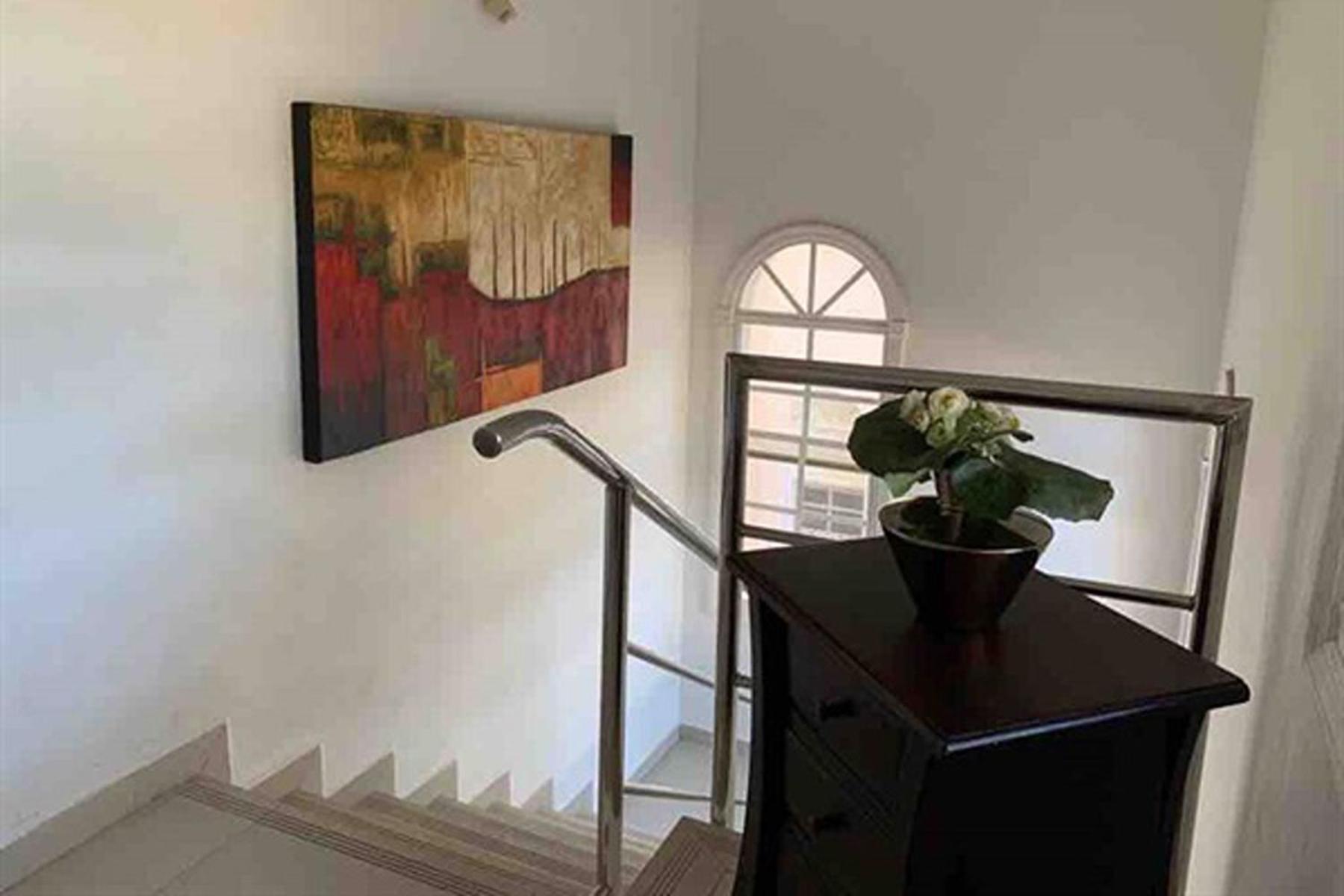 NEW! Penthouse Harmony at Mambo Ocean Resort