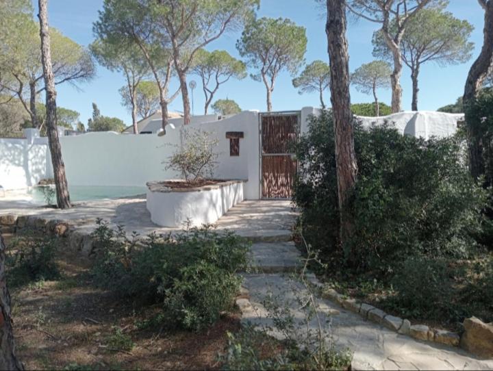 Casa Palmito