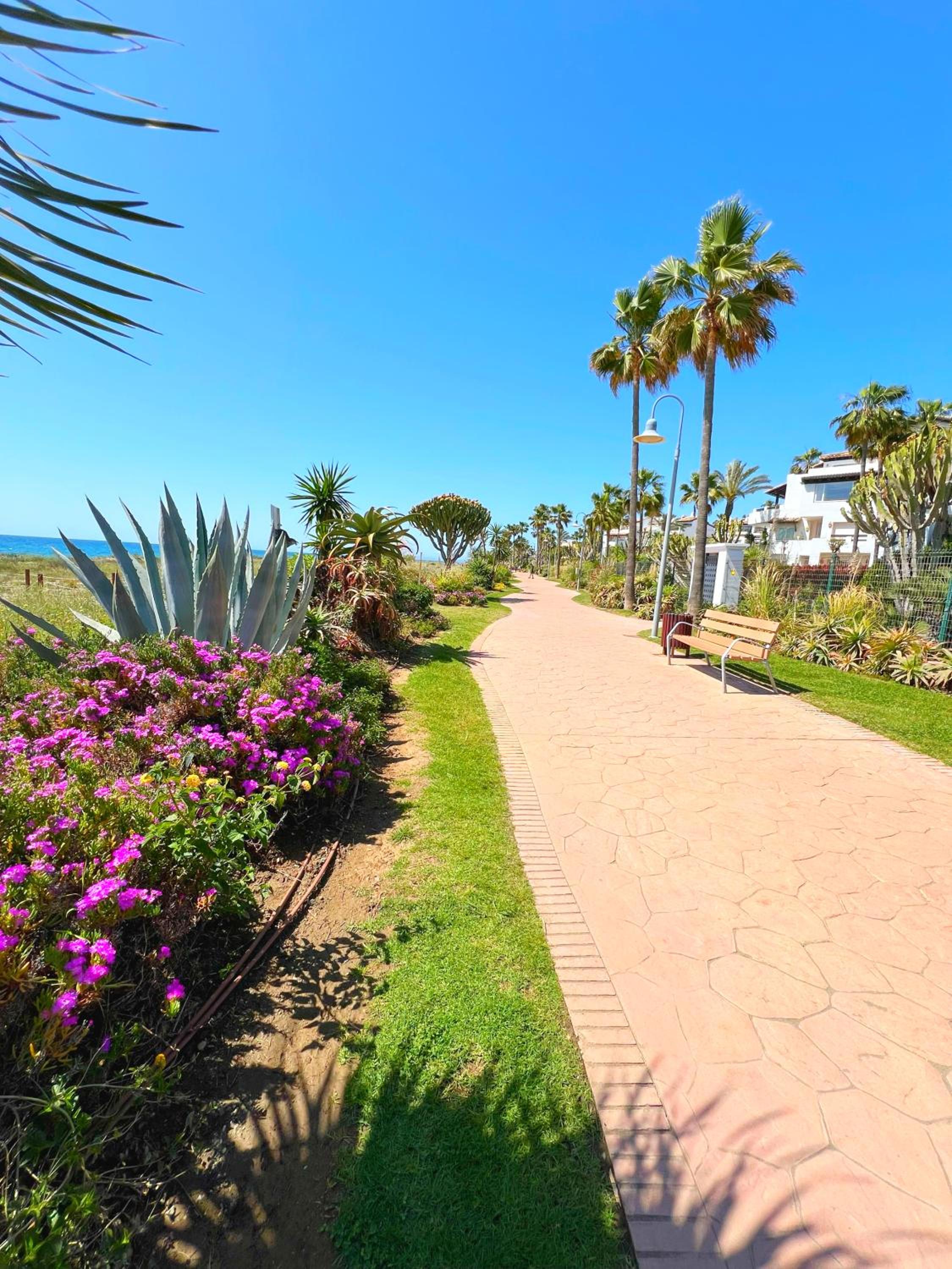 Patio Alcornocal by Residea