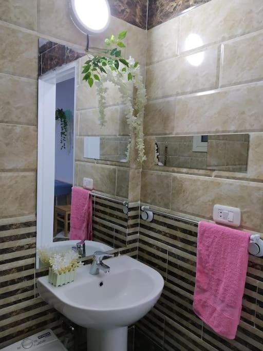 Sheraton Plaza house near the beaches and near New Marina studio 428