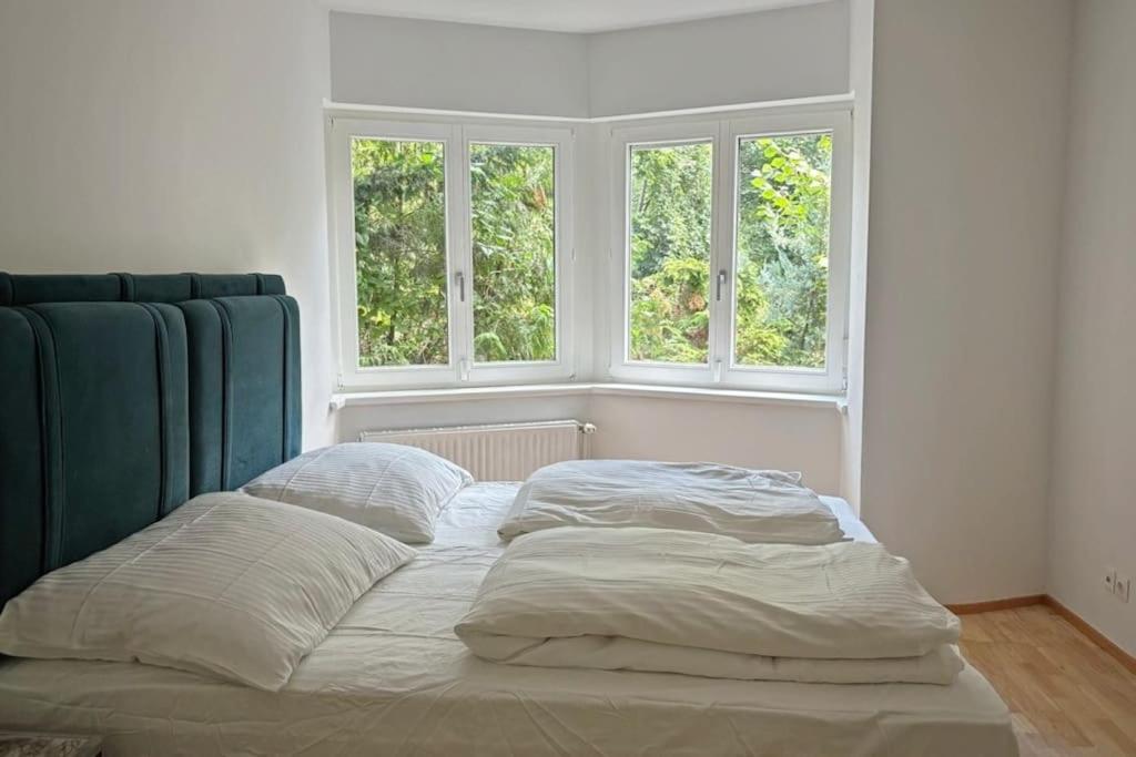 Traum Villa mit Weingartenblick!