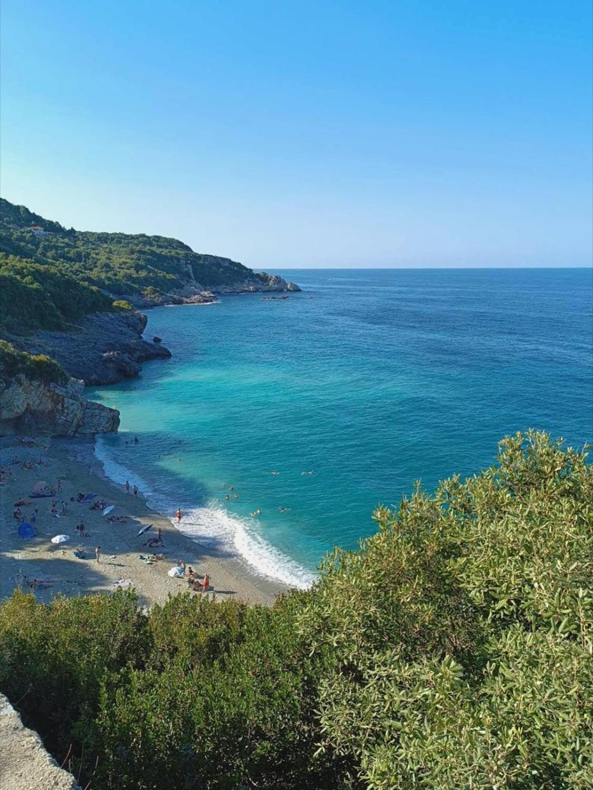 Panorama