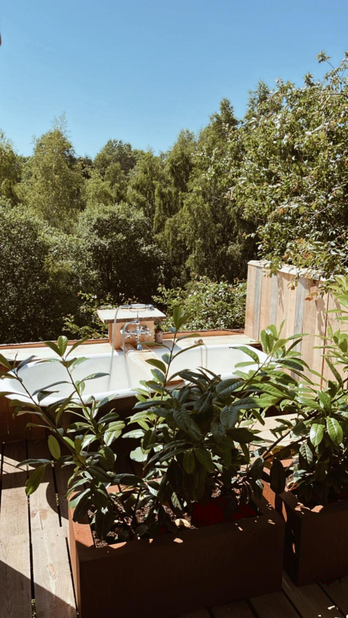Camp Adventure