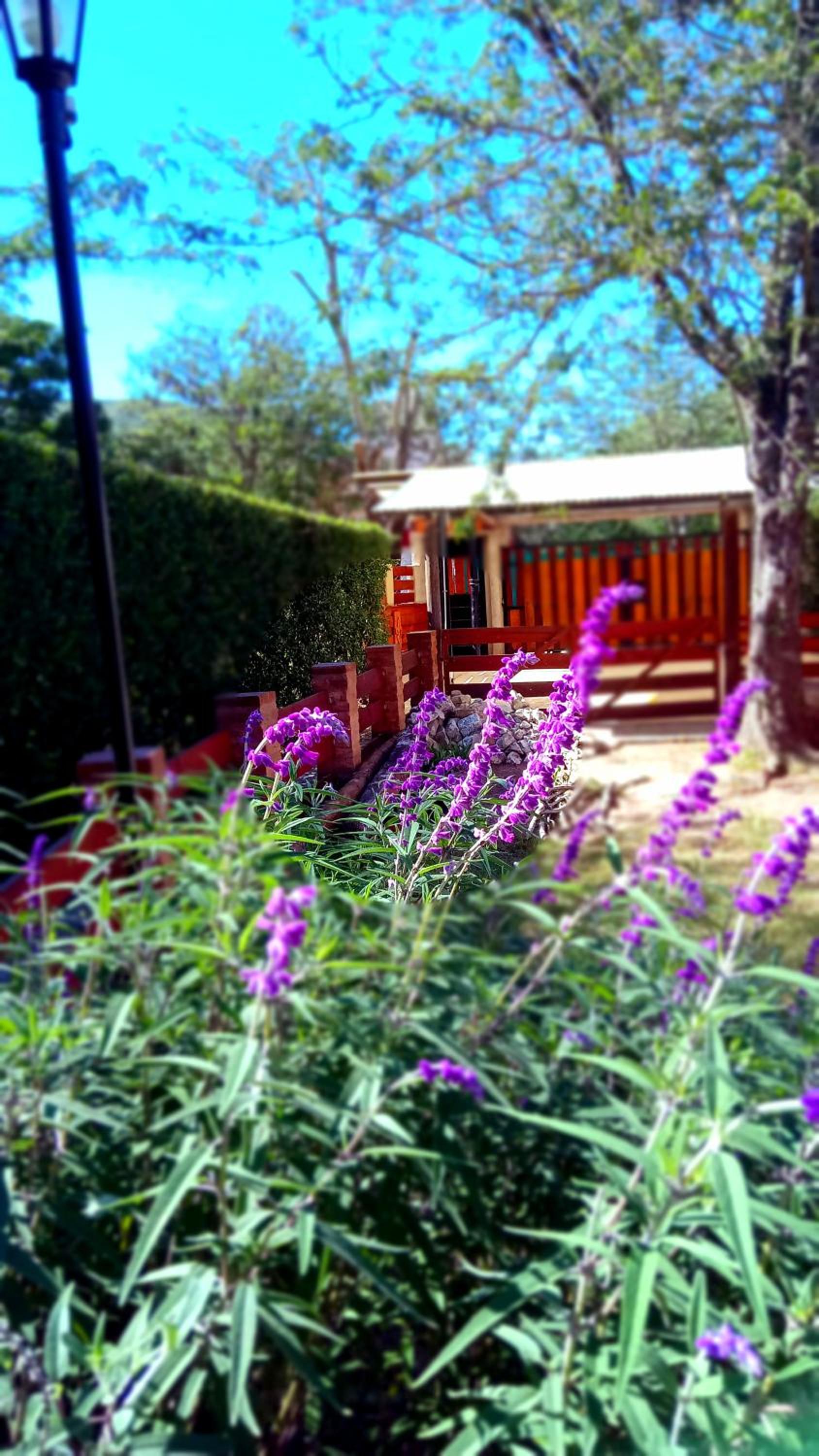 Cabañas Flor De Lis