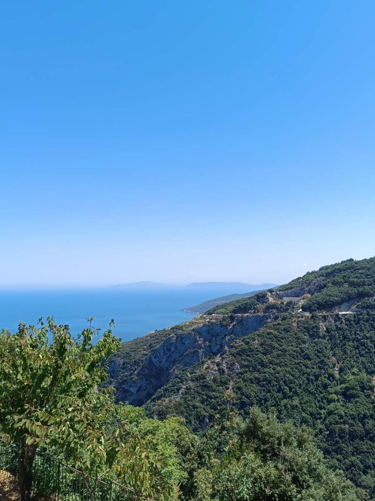 Panorama