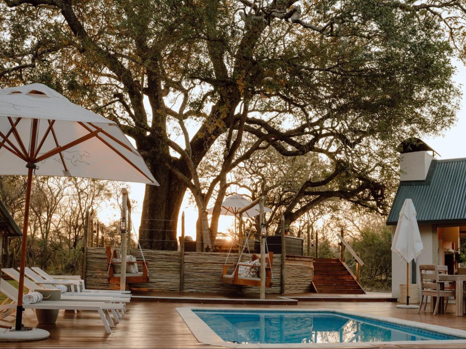 Leopard's Bend Bush Lodge view 5