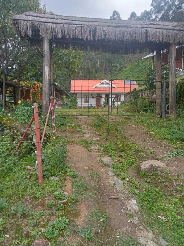 Fruitland Vattavada