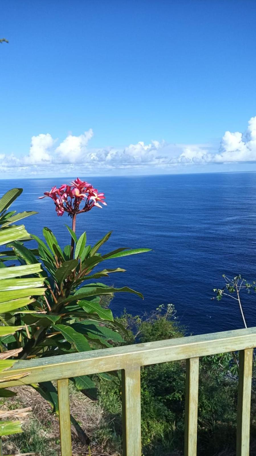 Paradise Point Villas