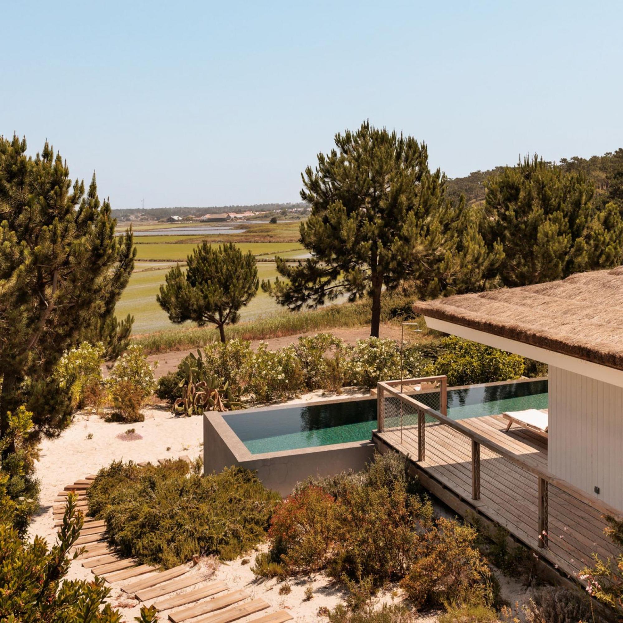Campo de Arroz view 5
