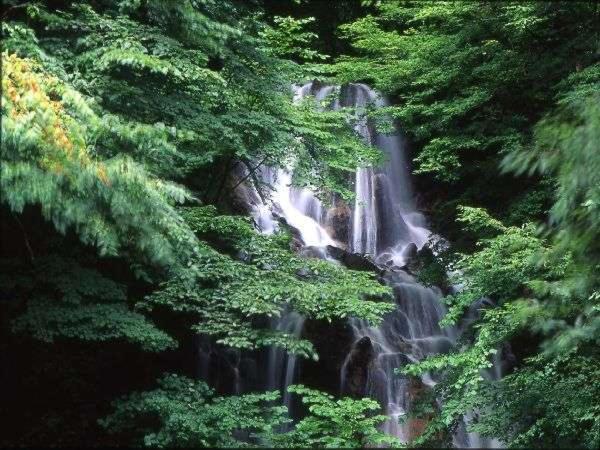 Shiobara Onsen Yama no Yado Shimofujiya