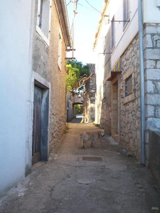 Photo 42