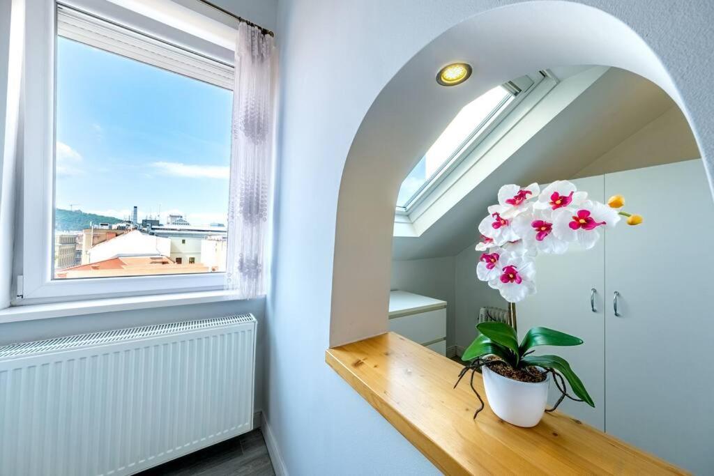 Astoria Apartment