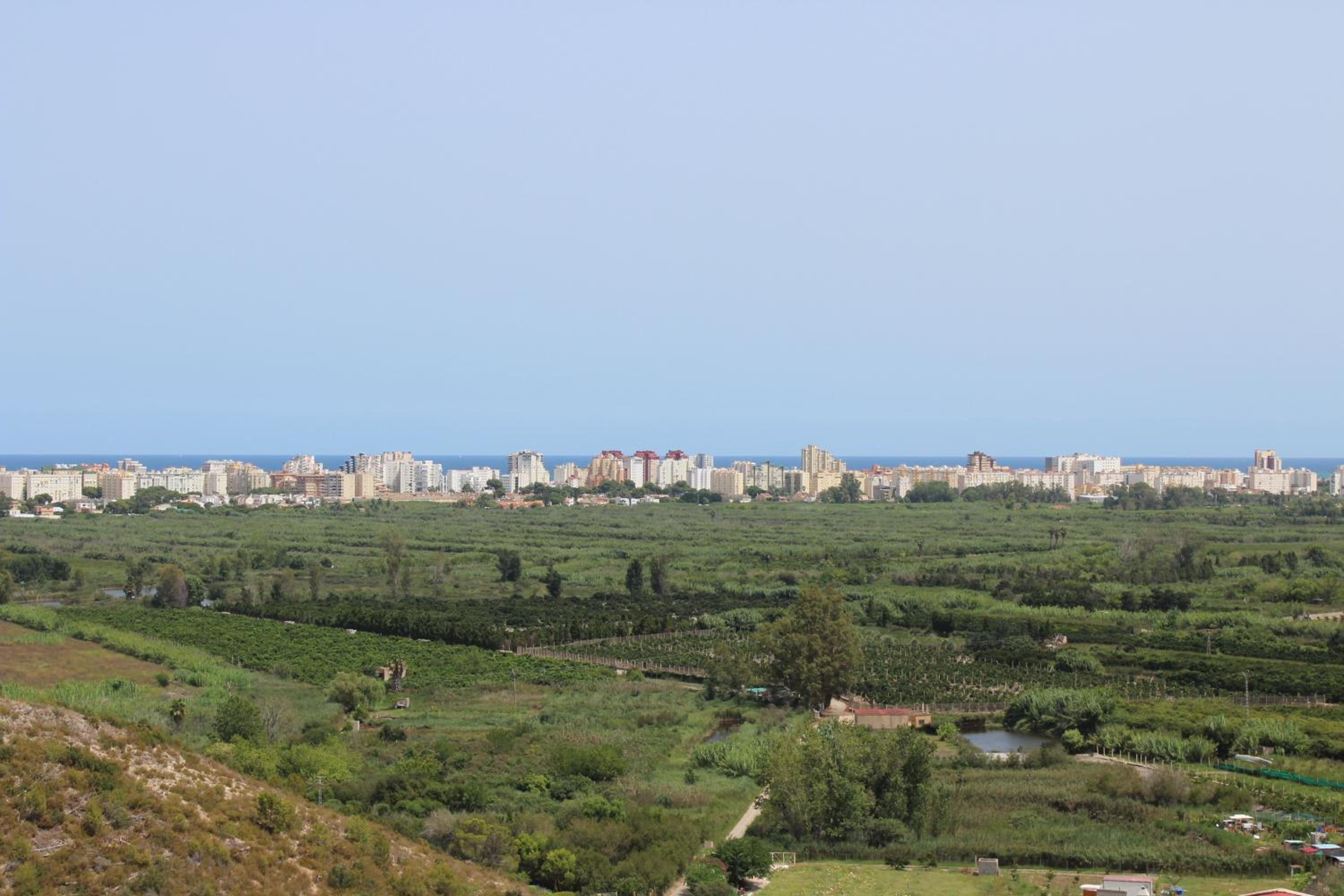 Xeresa del monte Sunshine