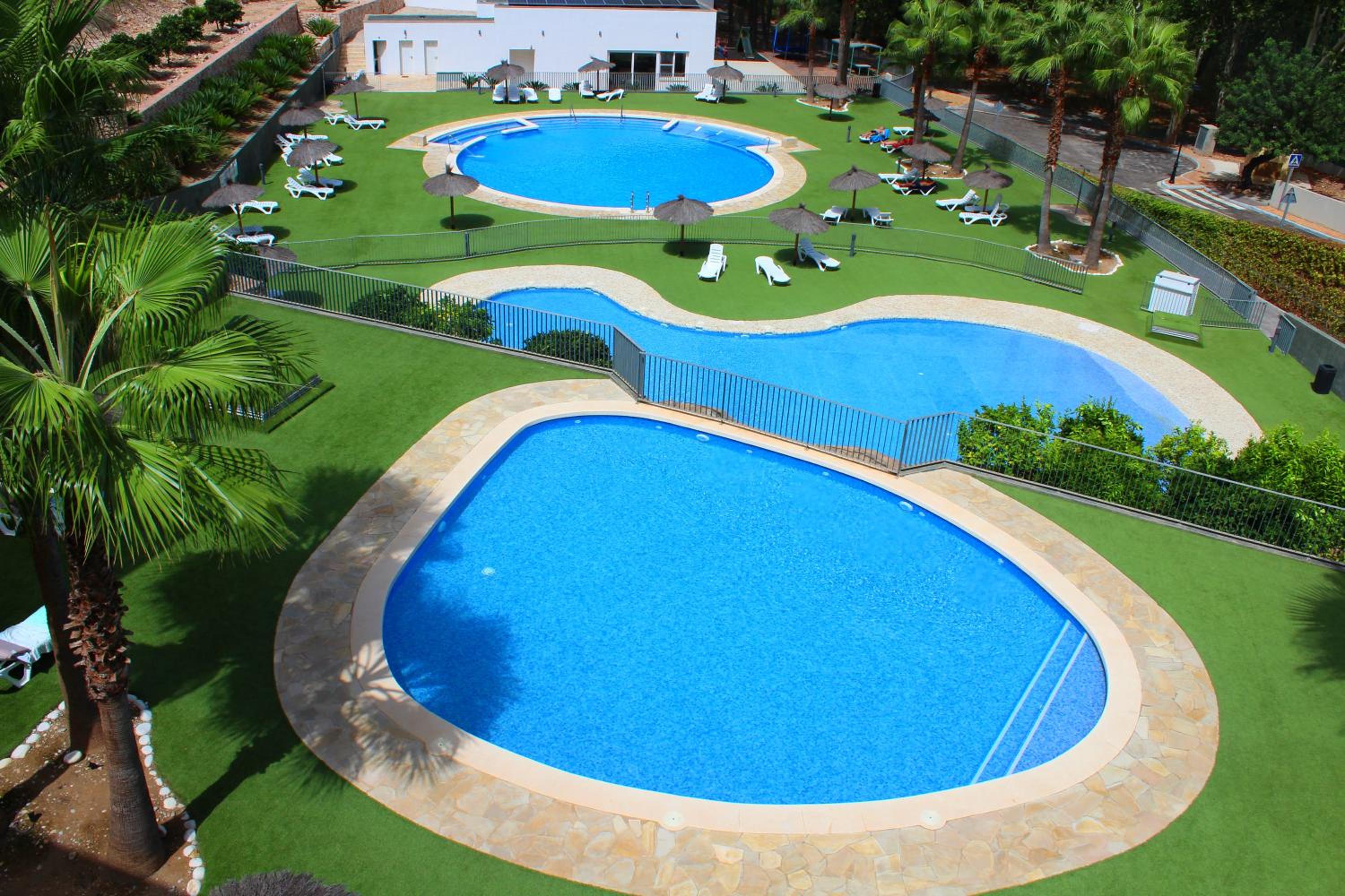 Xeresa del monte Sunshine
