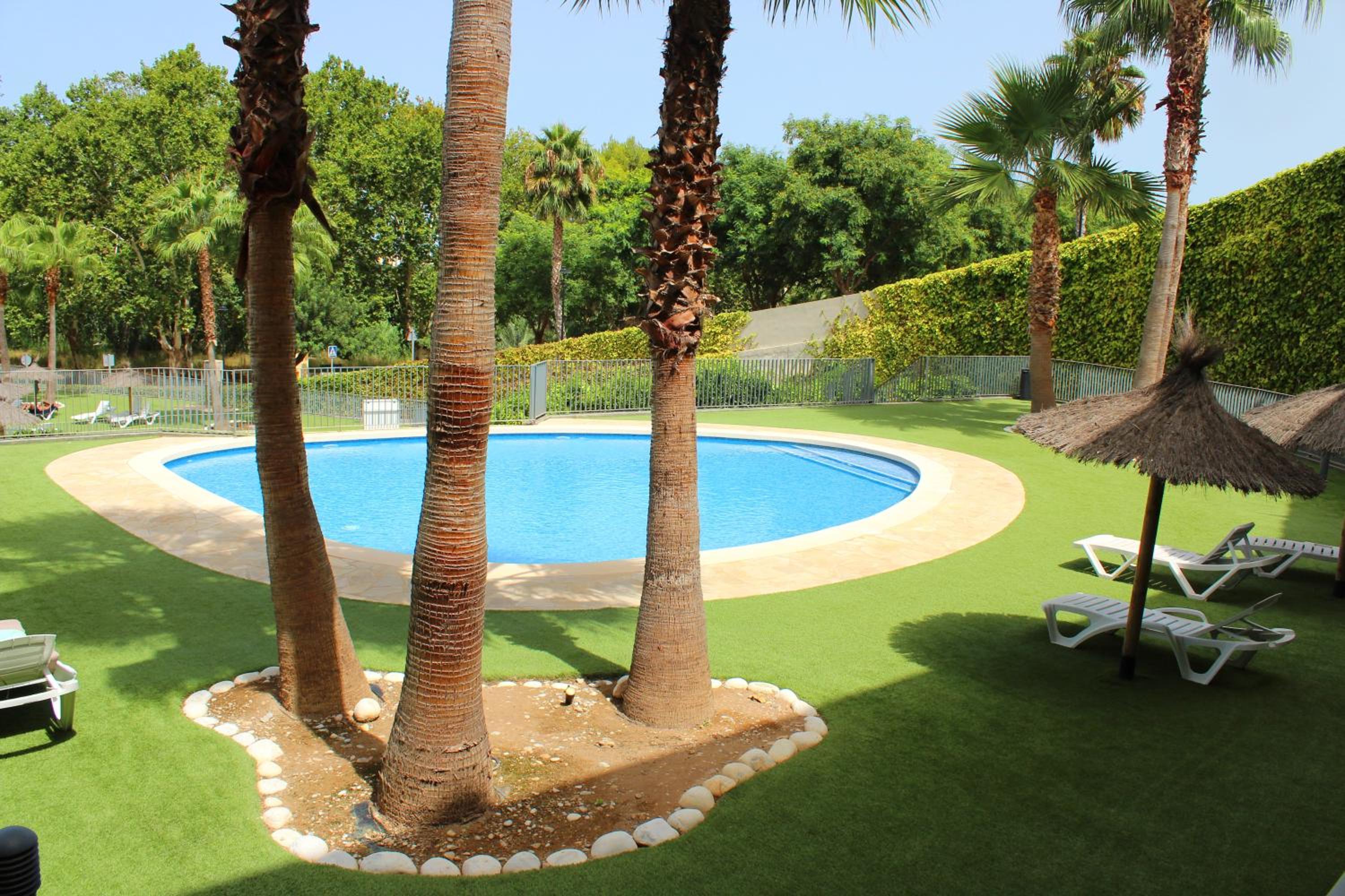 Xeresa del monte Sunshine
