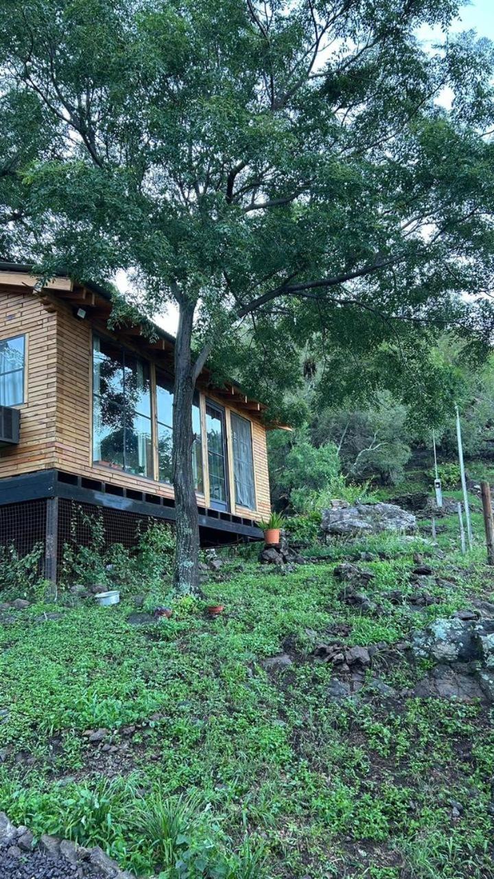 La casa de las palabras