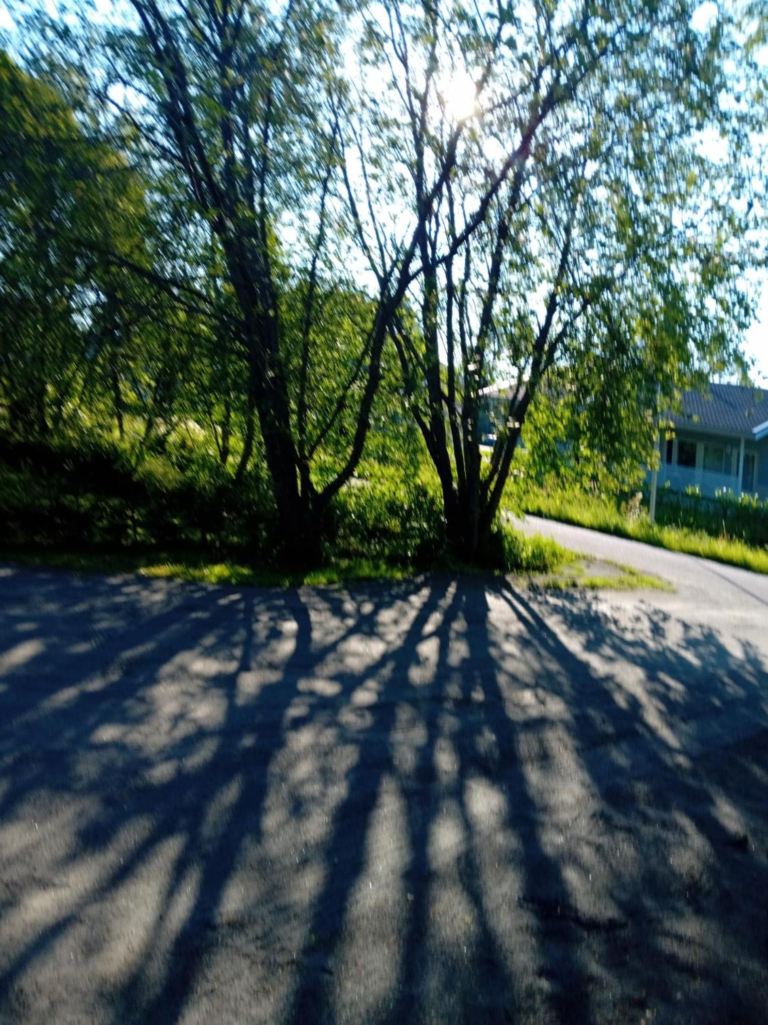 Huone Rauhallisessa Mummolassa