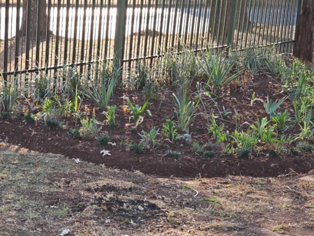 Protea Guesthouse