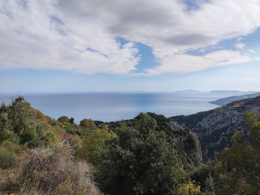 Panorama
