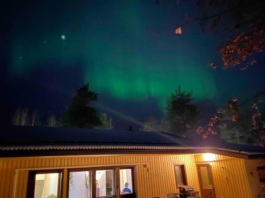 Lapland Forest Home