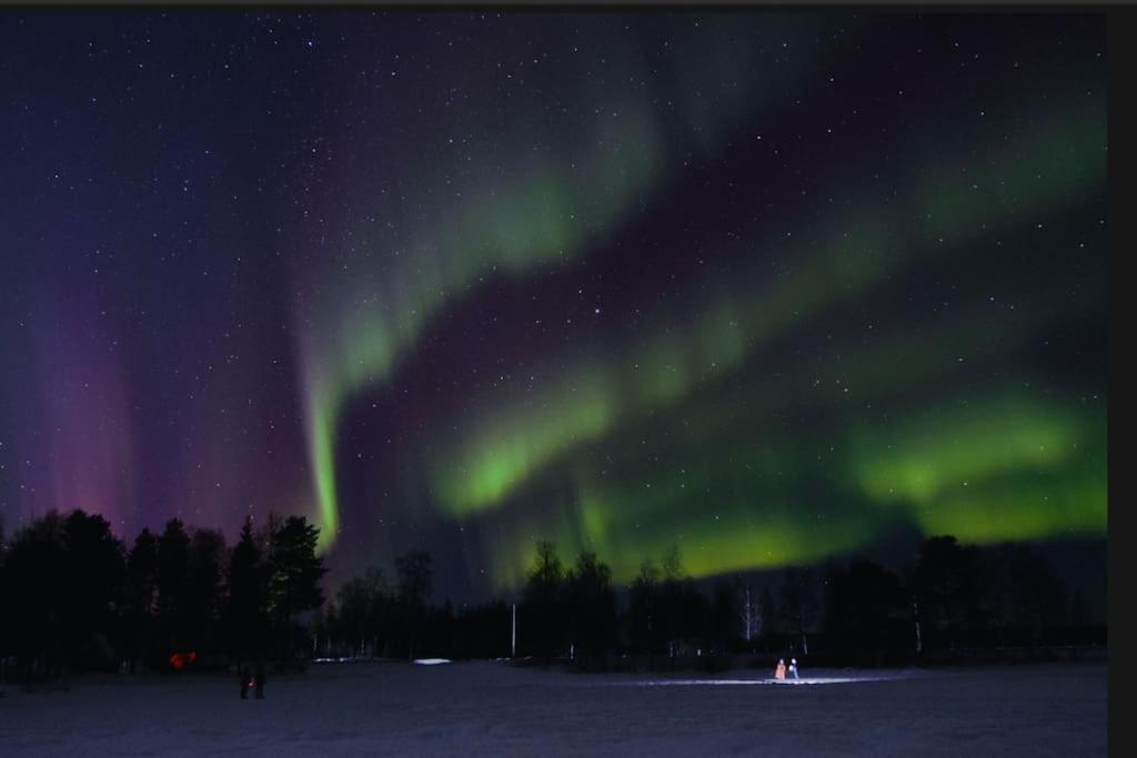 Lapland Forest Home