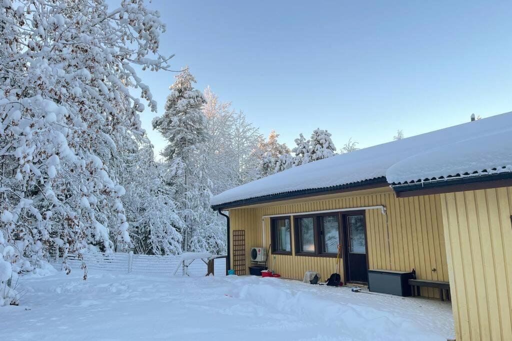 Lapland Forest Home