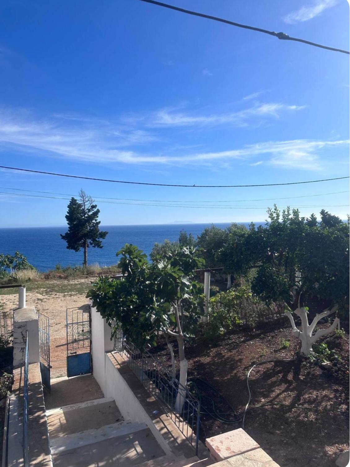 Adrianas Guest House photo 4