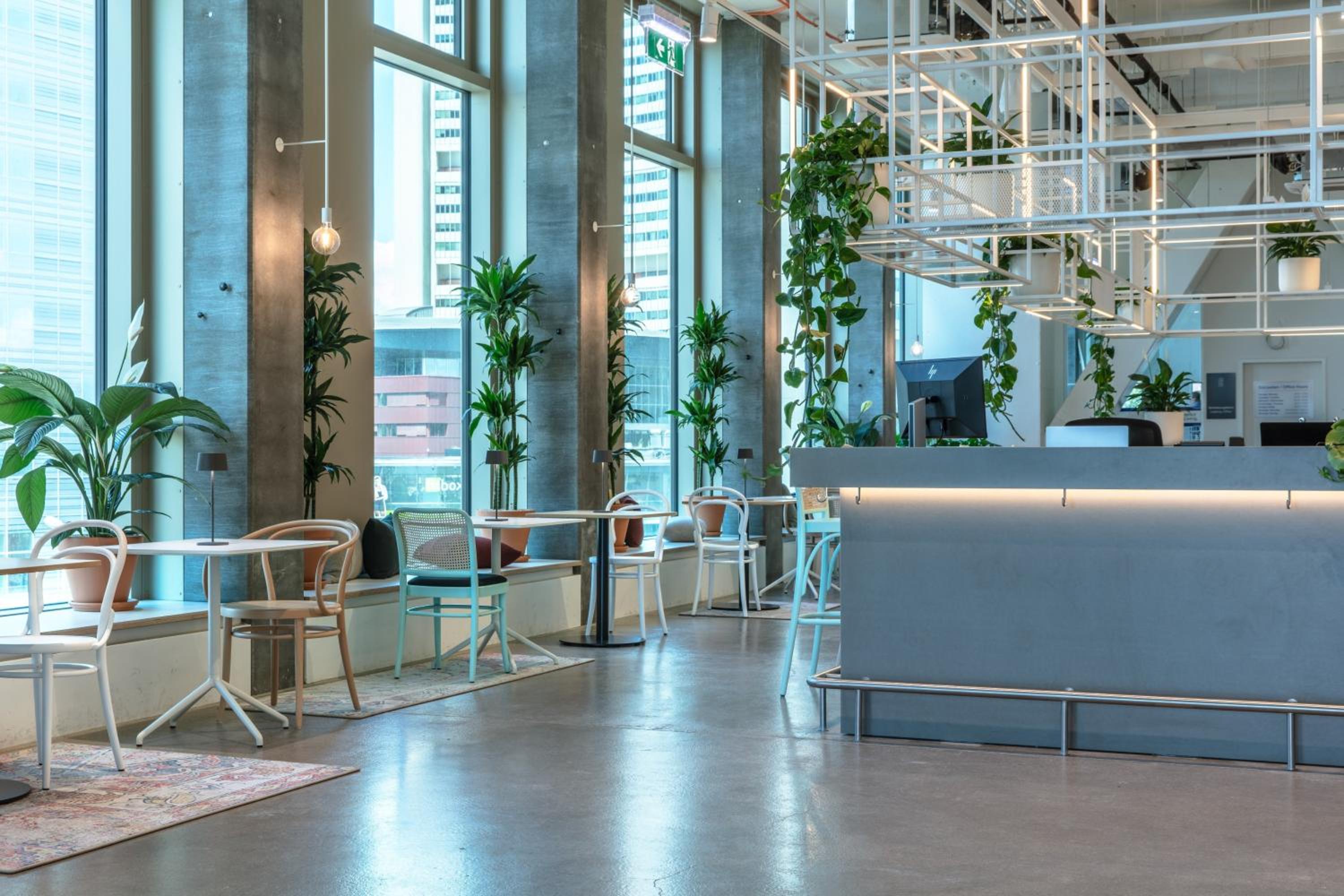 recepcion & lobby
