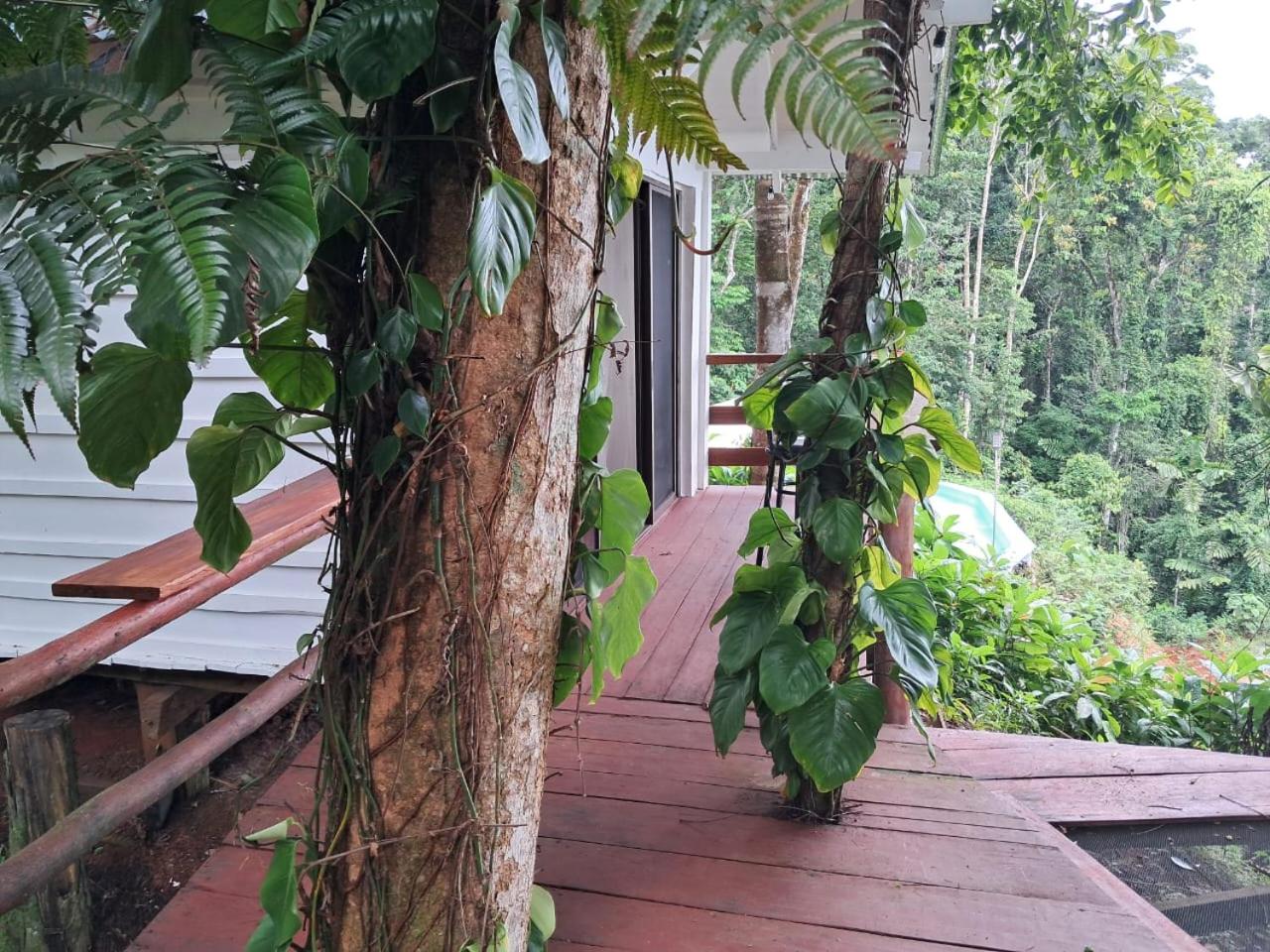 Salamoli Gulf view house