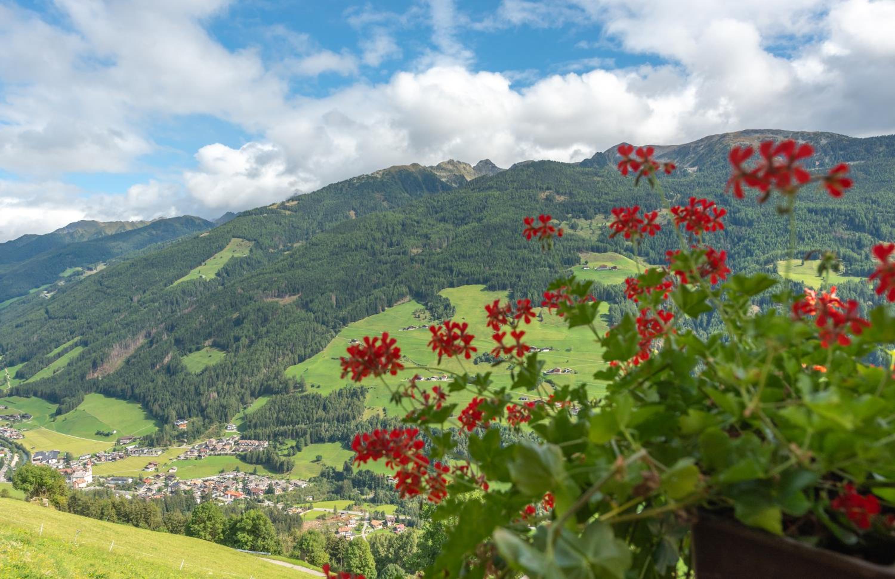 Ortnerhof