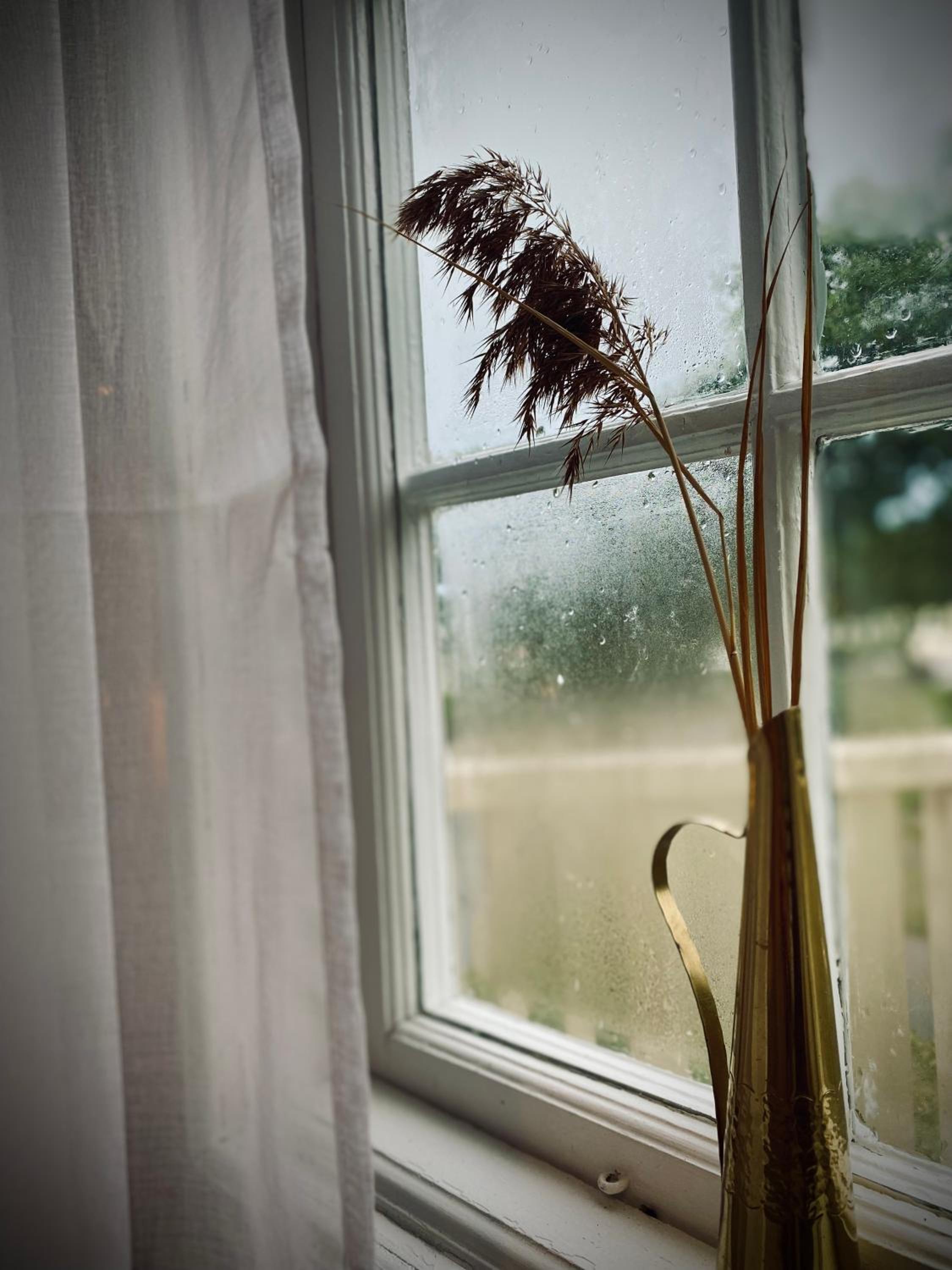 Konstnärsvåningen i Villa Sol