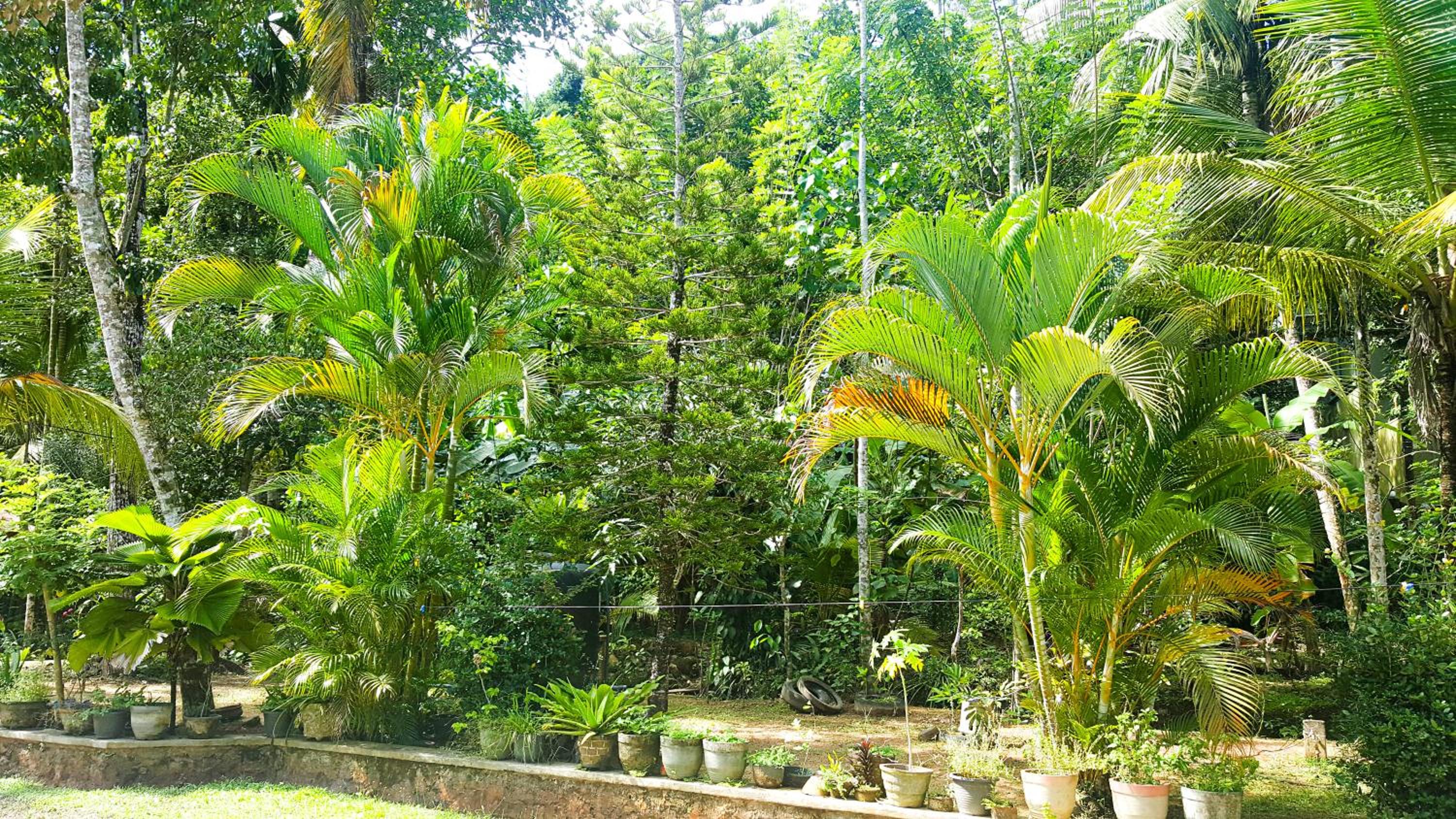 Banksia Villa view 3