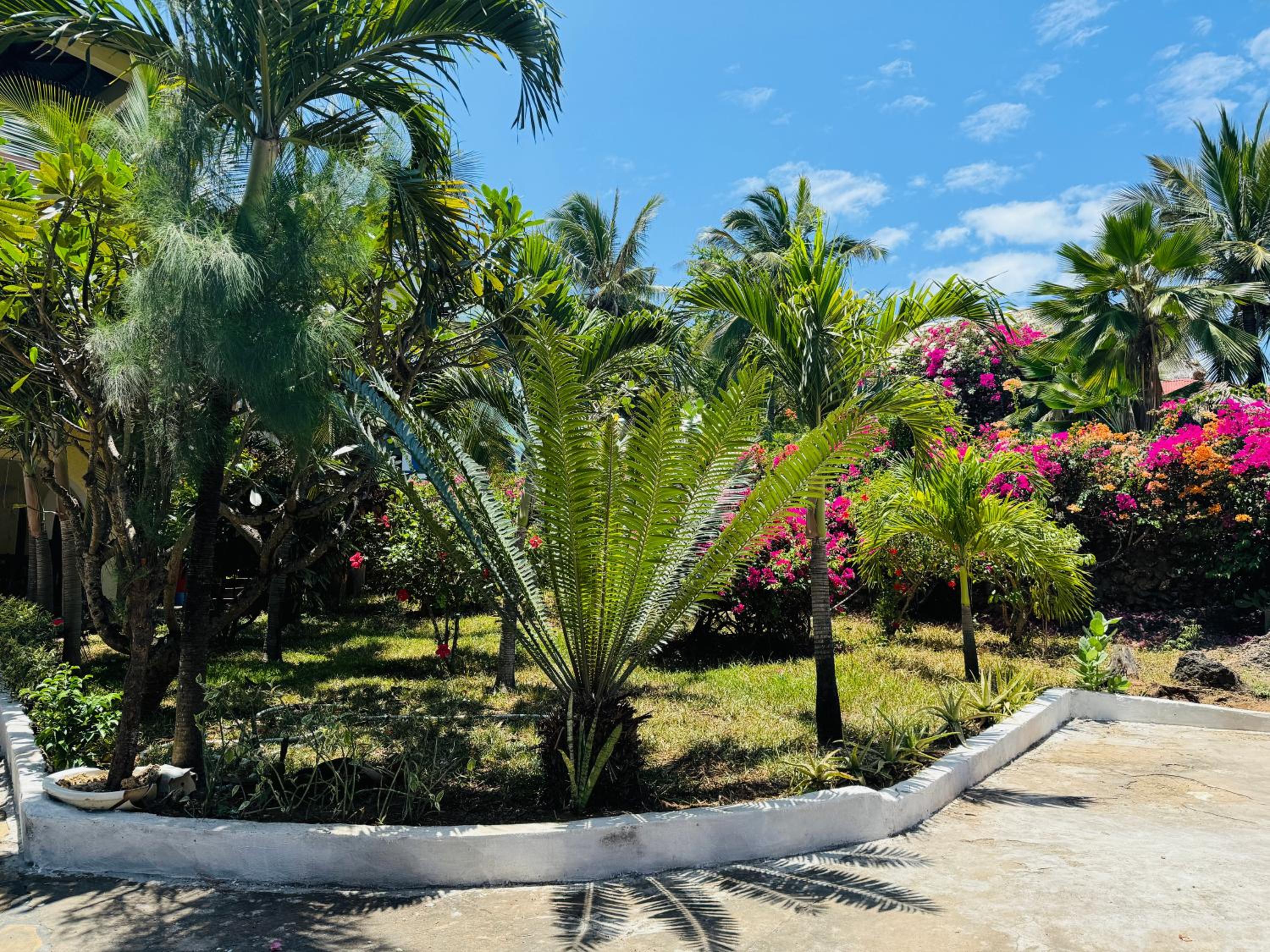 Villa Jakasa view 3