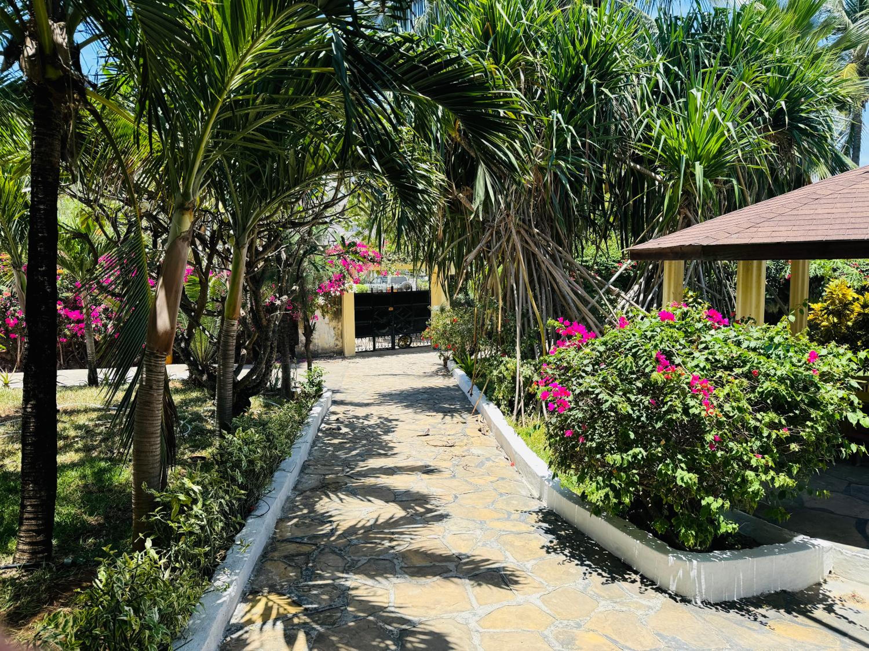 Villa Jakasa view 4