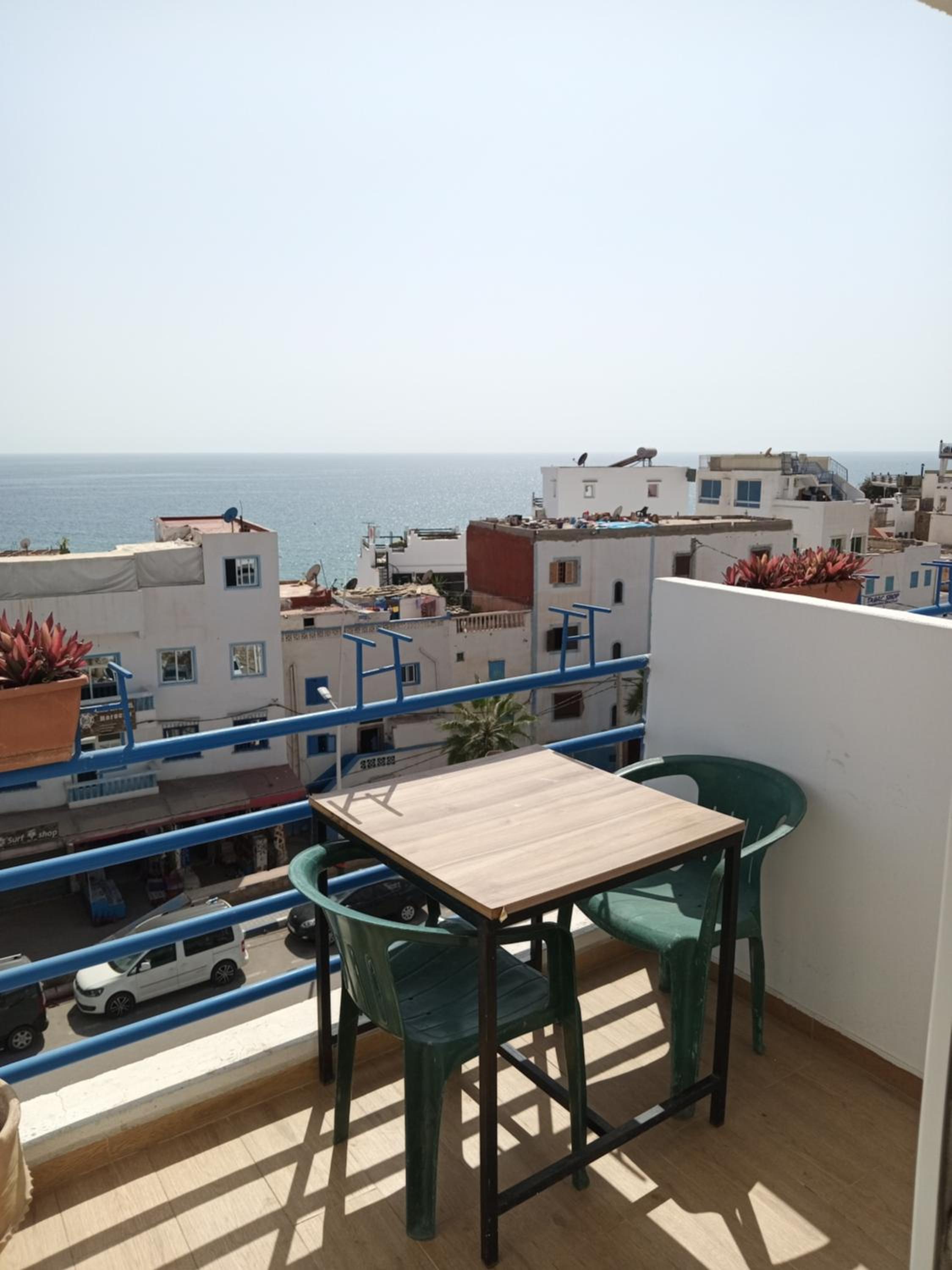 Puppy taghazout