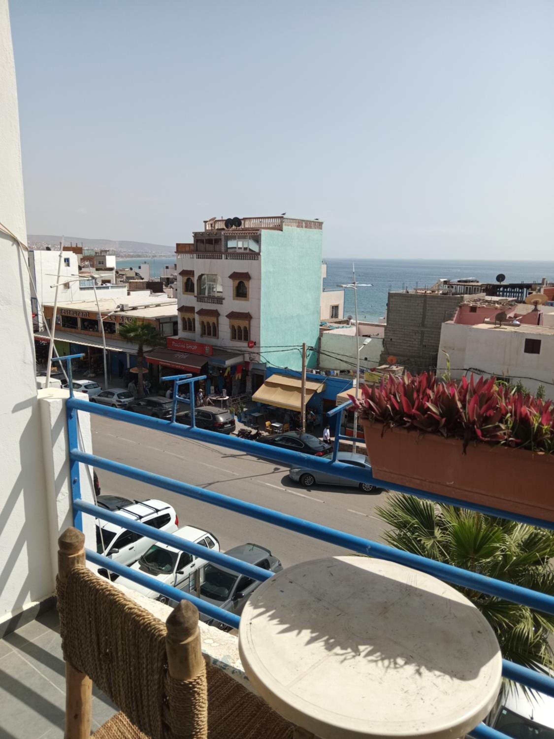 Puppy taghazout