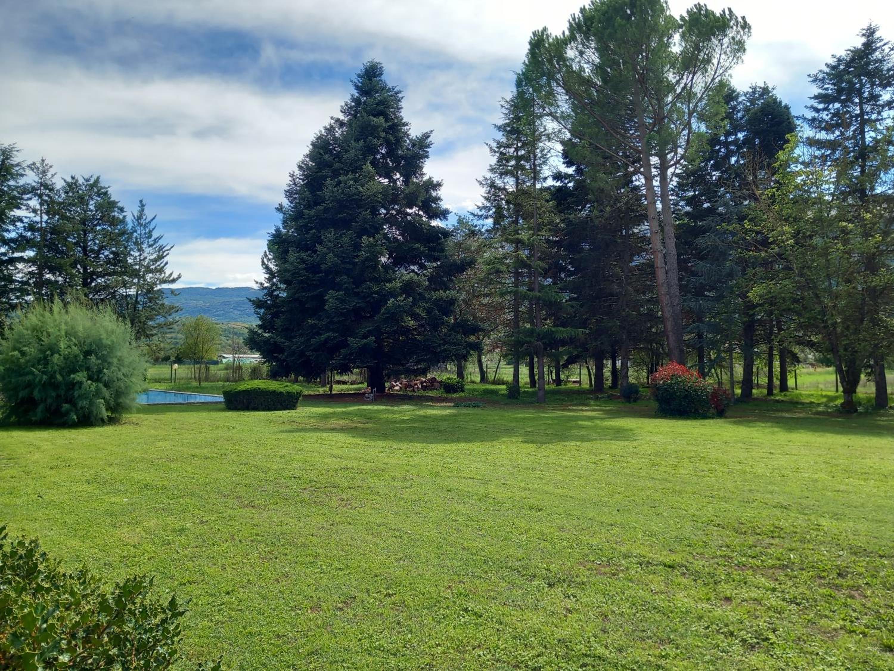 Casa Verde