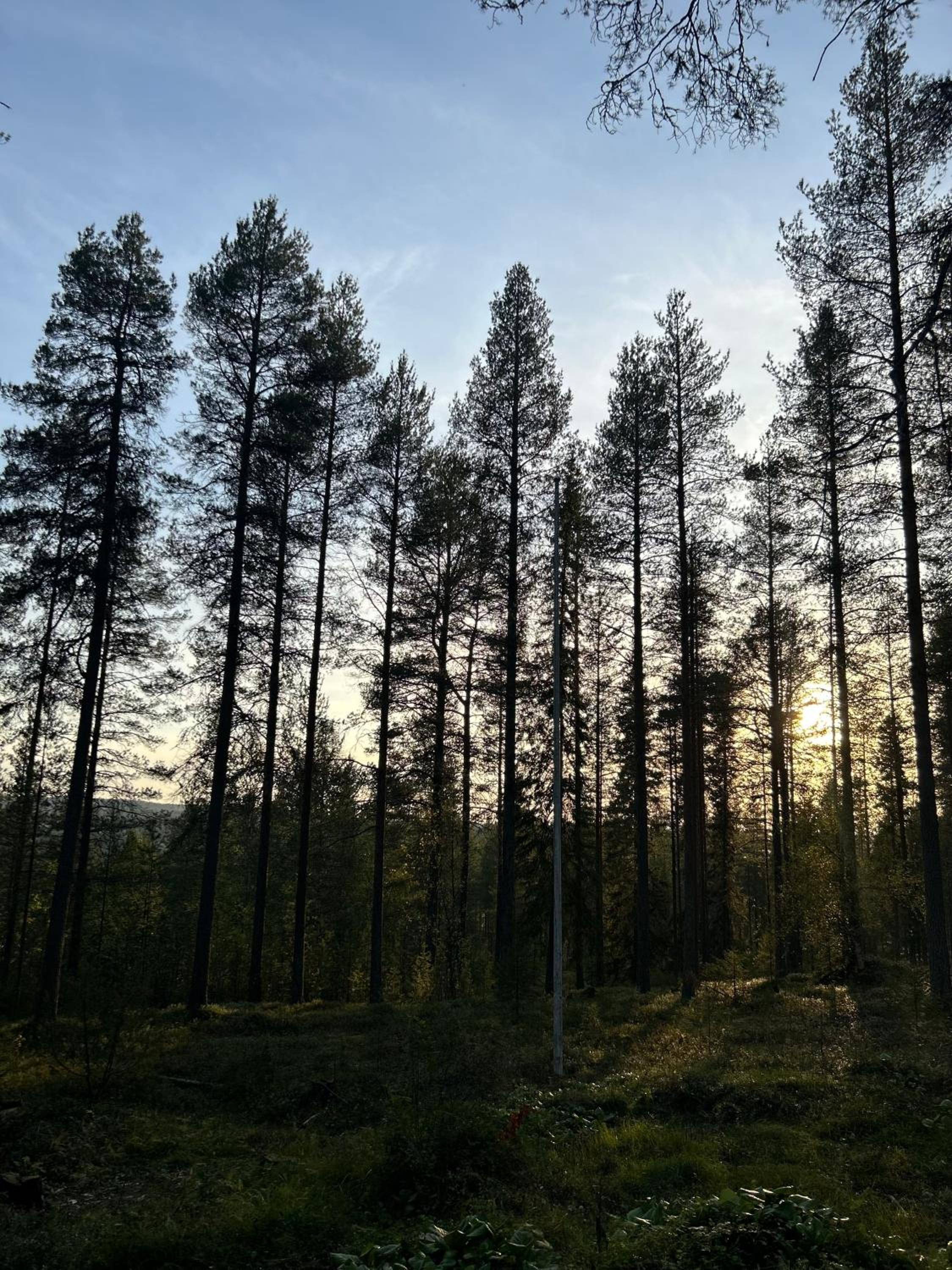Kaamos Old House