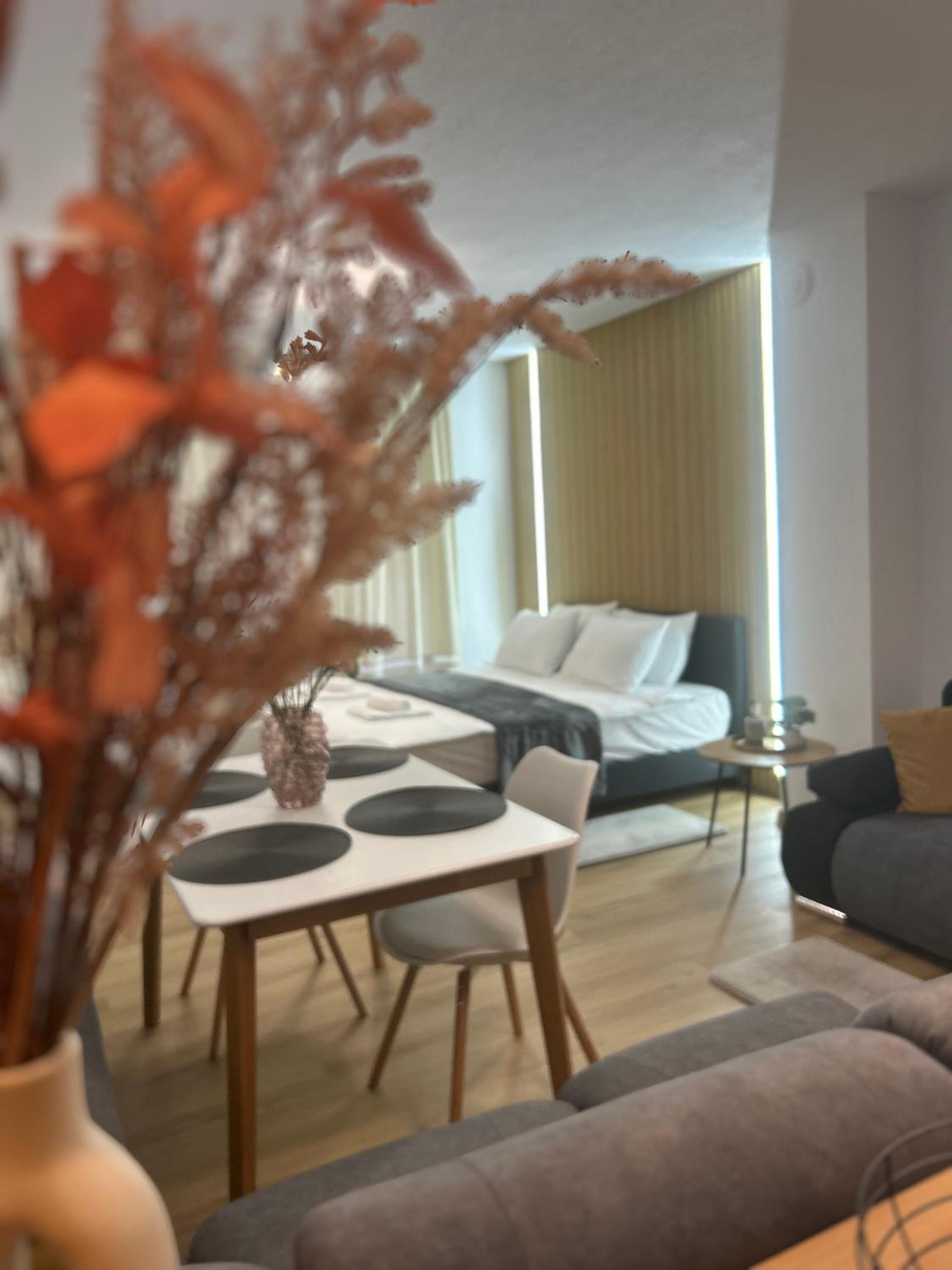 Sandanski Apartments Park Center