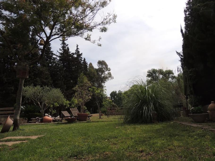 Photo 42